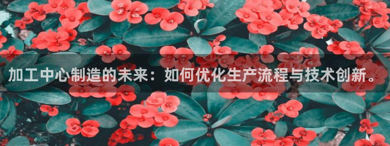 pg电子有吐分期吗
