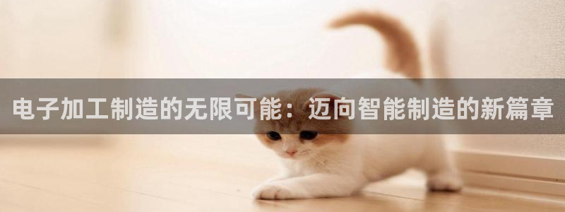 pg电子输了几百万