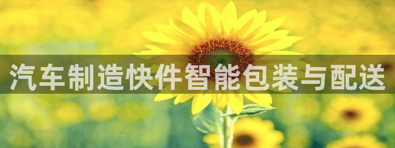 pg电子棋牌爆发视频