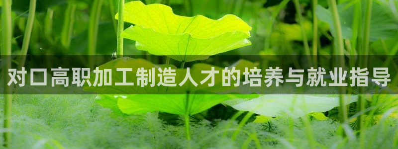 pg电子迎财神改代码