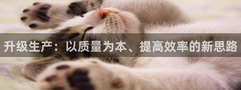 pg电子黄金城视频