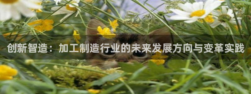 pg电子夺宝试玩网站