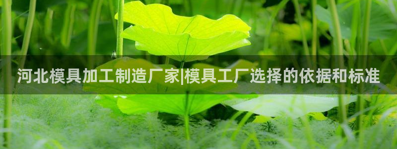 pg电子寻宝黄金城攻略