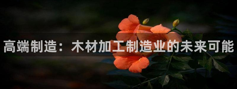 试玩pg电子游戏网址