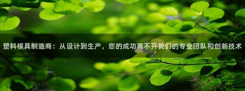 pg电子助单是什么
