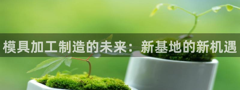 pg电子体验网站