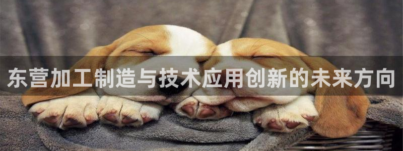 玩pG电子的软件