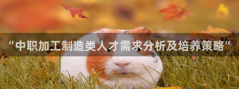 pg电子算赌博吗