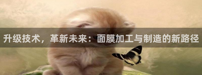 pg电子爆分视频
