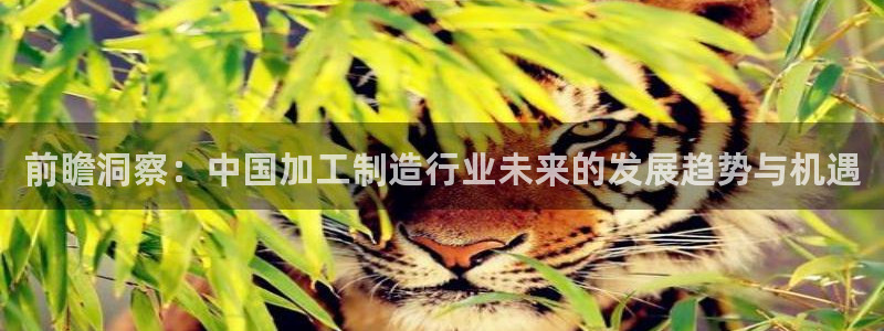 pg电子游戏控制输赢