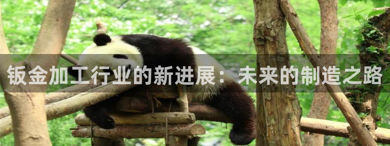 pg电子有没有靠谱点的