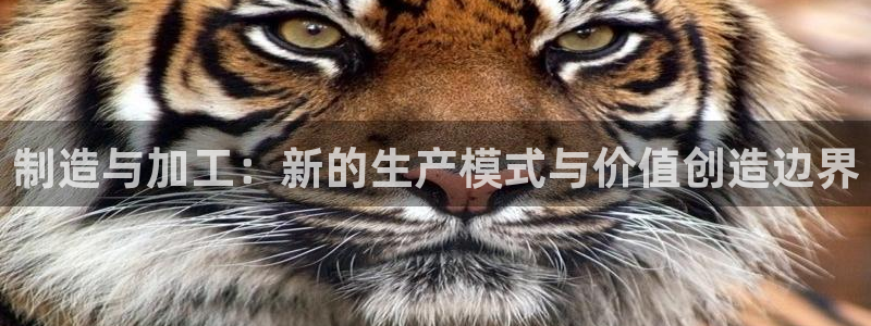 pg电子千赢国际