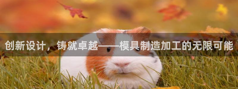 PG电子爆分高的游戏