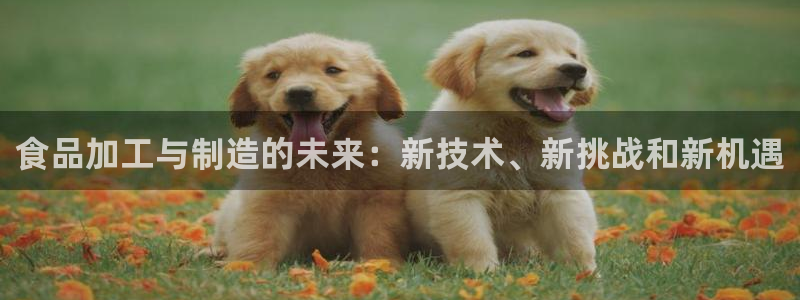 夜醉佳人电子pg