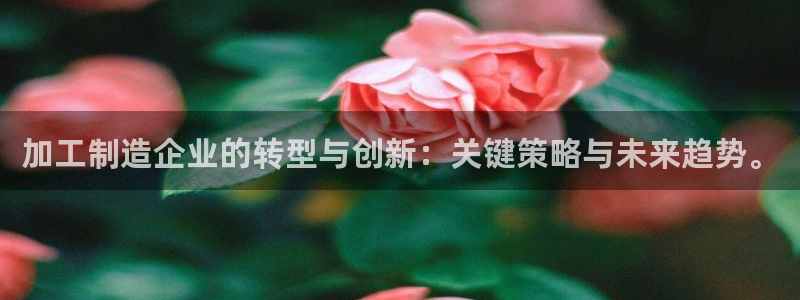pg电子麻将胡牌规则