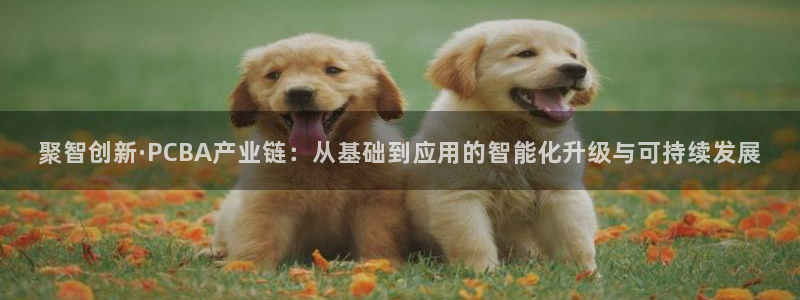 pg电子违法吗
