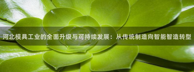 pg电子游戏江山美景图