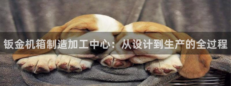 pg电子嘉年华暴分视频