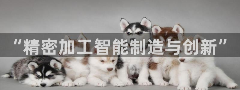 pg电子试玩金