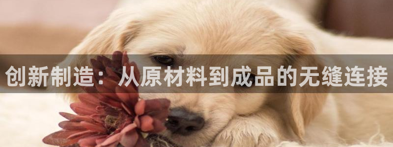 pg电子澳门豪门爆分