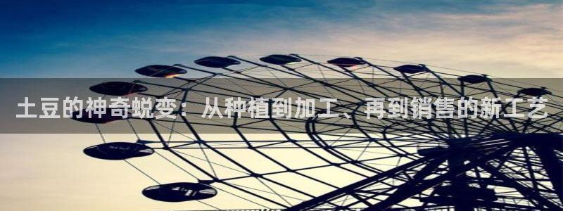 pg电子试玩在线