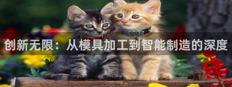 凤凰传奇pg电子