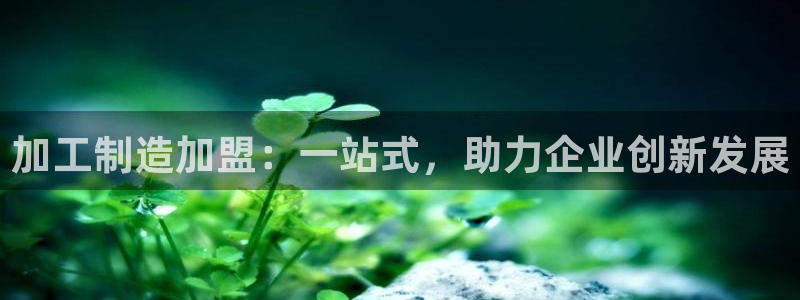 pg电子游戏交流群