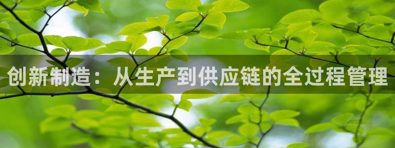 pg电子游戏寻宝黄金城