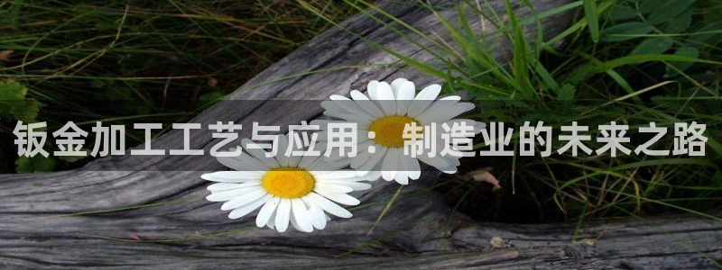 pg电子最大爆分