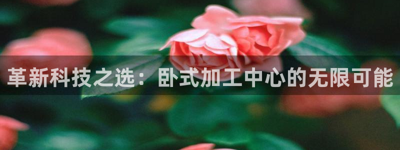 pg电子游戏下载平台