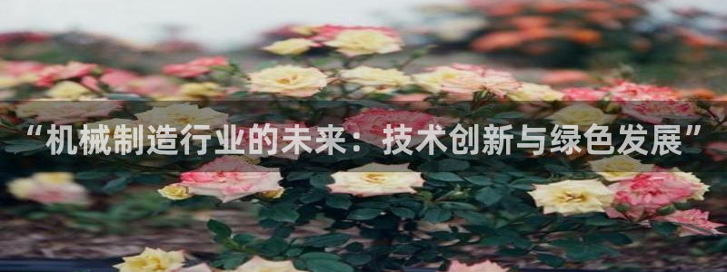 pg雪崩 电子说明书