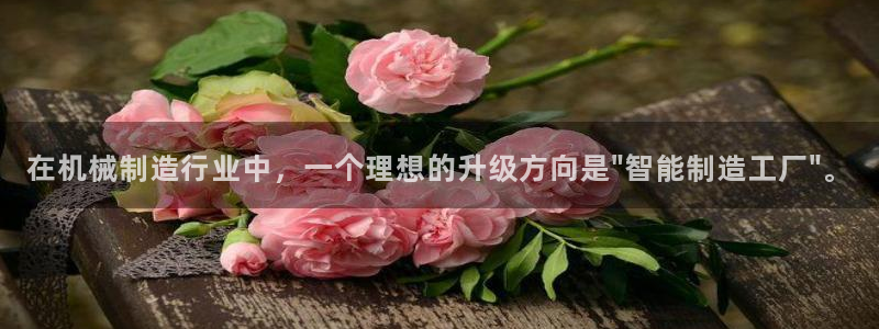 pg电子寻宝黄金城网址是什么