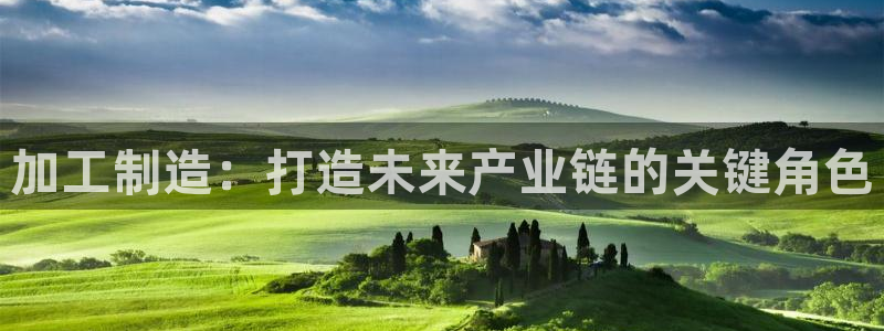 pg电子网站源码