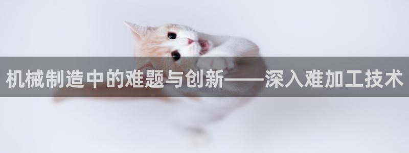 竹子熊猫电子游戏pg