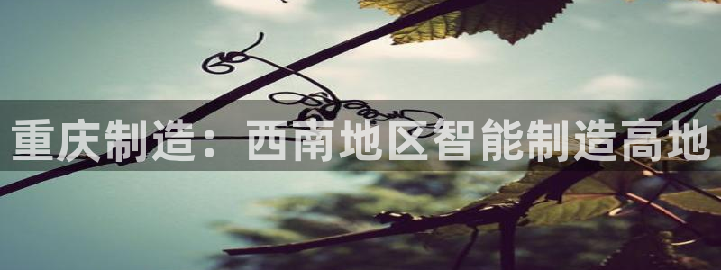 pg电子代理商