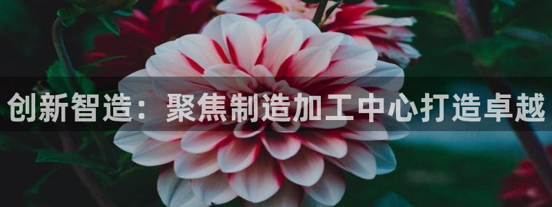 pg电子艳后之谜平台