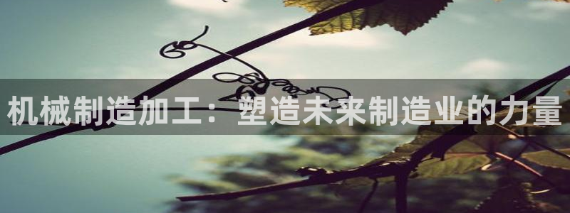 转出至PG电子什么意思