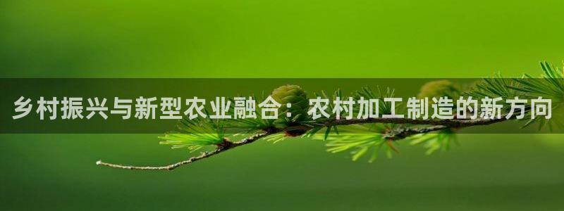 pg电子麻将糊了大奖