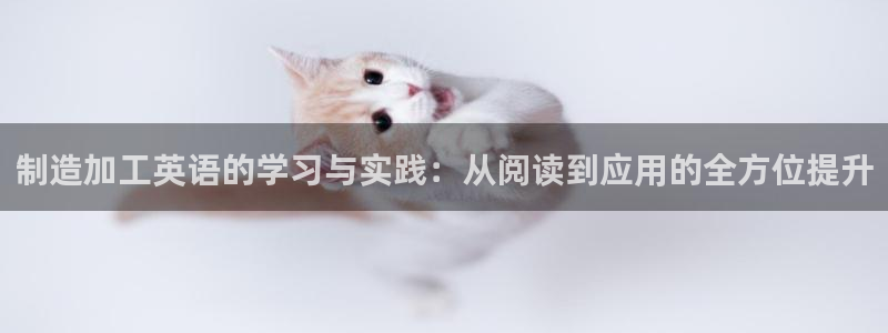 pg电子夺宝试玩网站