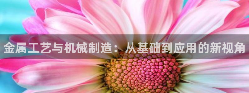 pg电子棋牌源码