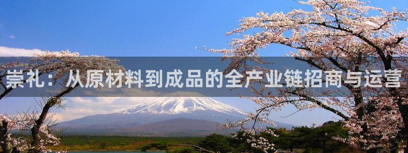 pg电子输了十万