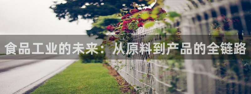 pg电子游戏视频哪里多