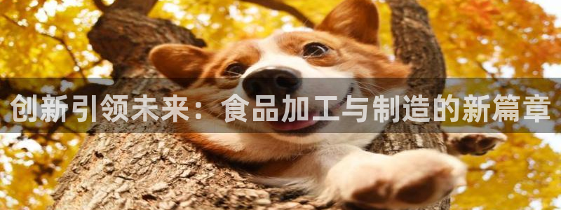俄罗斯pg电子