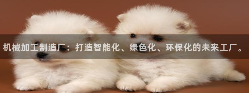 pg电子直播试玩