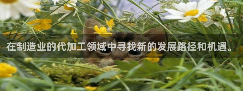 pg电子寻宝黄金城视频