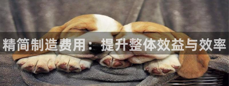 pg电子模拟器试玩版