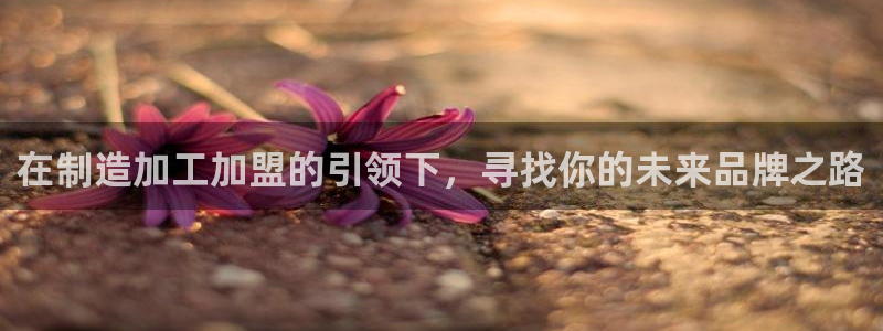 pg电子超市大比拼爆分