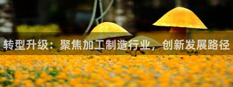 pg电子官方网站