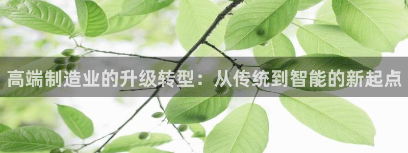 pg电子试玩模式网址