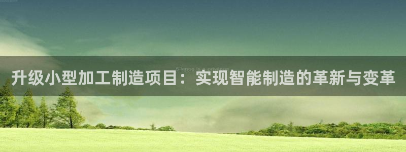 pg电子官方网站多少